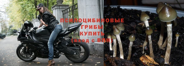 гидропоника Заволжск