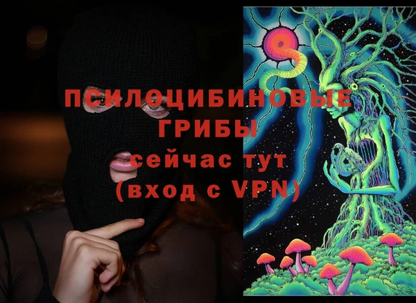 гидропоника Заволжск