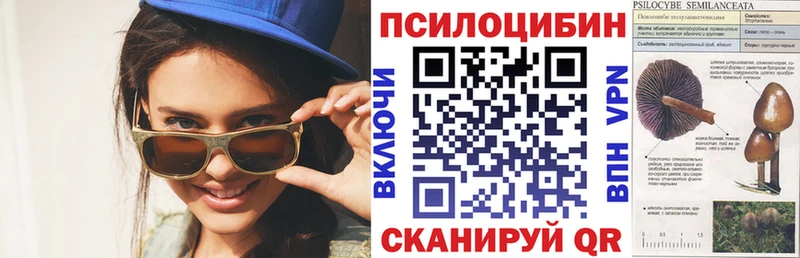 Псилоцибиновые грибы мицелий  кракен зеркало  Кашира 