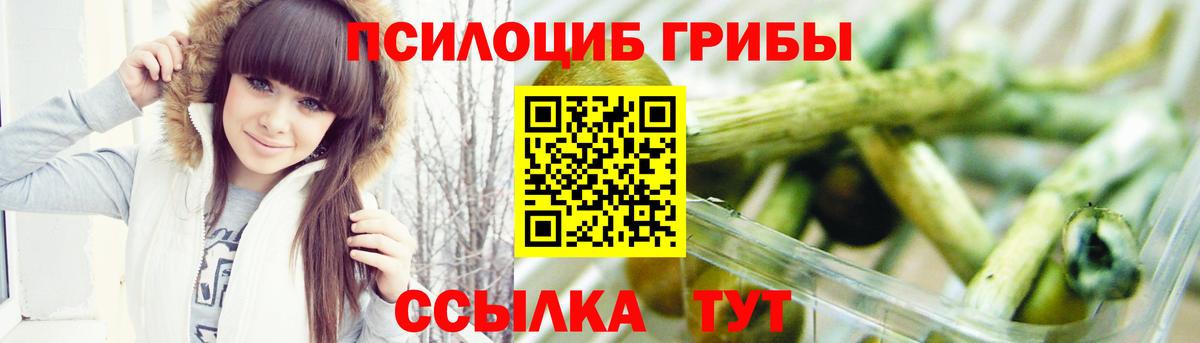 Кашира  Галлюциногенные грибы Psilocybine cubensis  Вход с VPN 