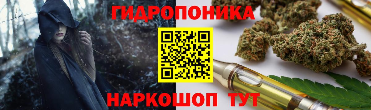 Бошки марихуана гибрид Кашира